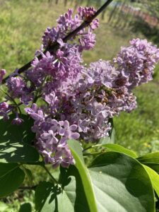 iphone 5sep2025 1092