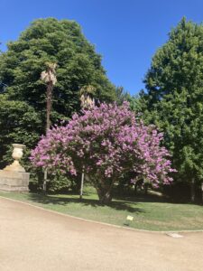 iphone 5sep2025 1244