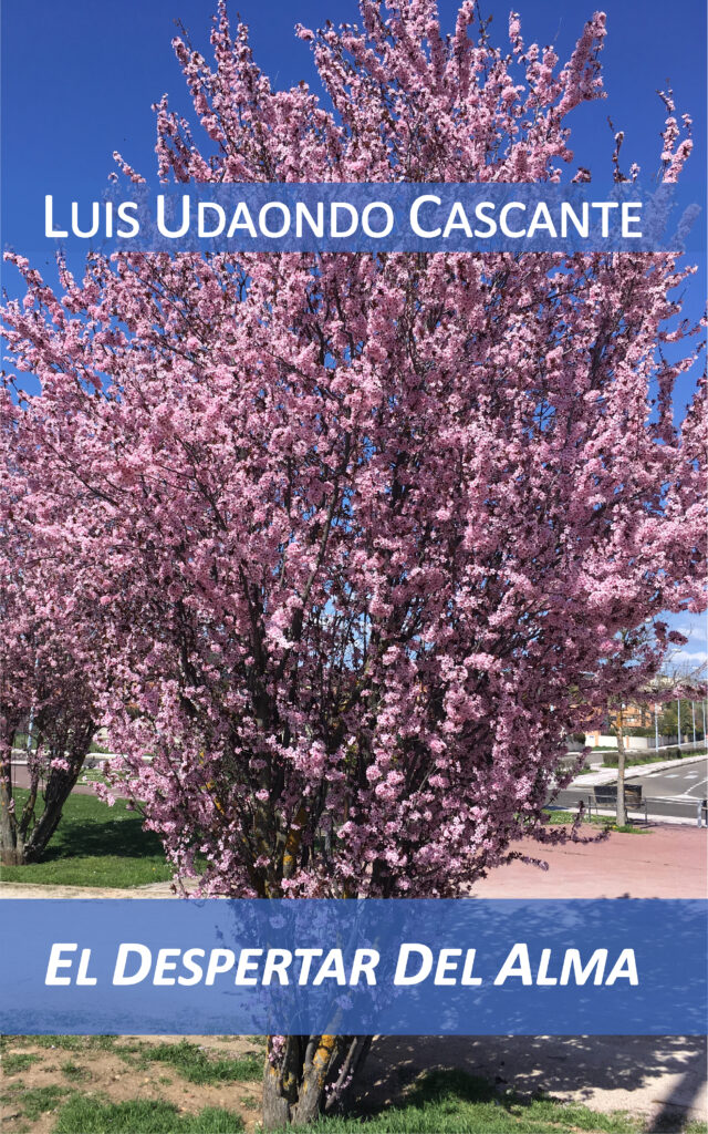 portada ebook el despertar del alma