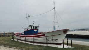 img 8593